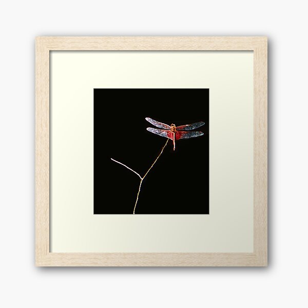 Red Dragon Framed Art Print
