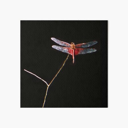 Red Dragon Art Board Print