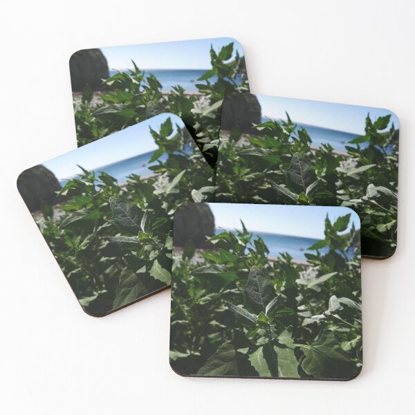 Item preview, Spear-leaved orache (Atriplex prostrata) designed and sold by IOMWildFlowers.