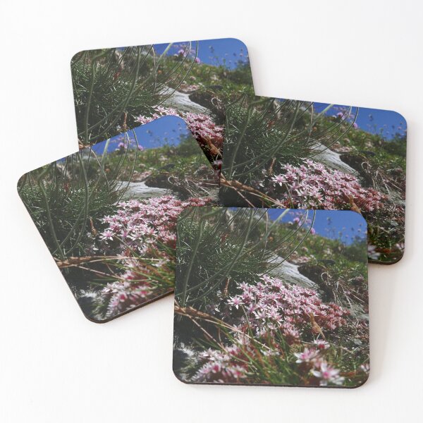 Item preview, English Stonecrop (Sedum anglicum) designed and sold by IOMWildFlowers.