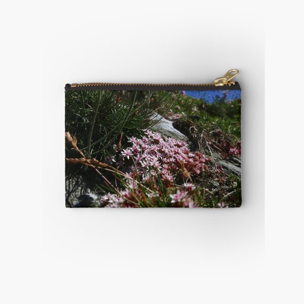 Item preview, English Stonecrop (Sedum anglicum) designed and sold by IOMWildFlowers.