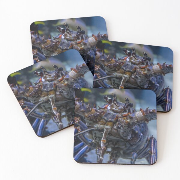Item preview, Here's Looking at You designed and sold by John  Kapusta.
