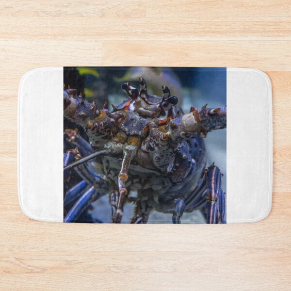 Item preview, Here's Looking at You designed and sold by John  Kapusta.