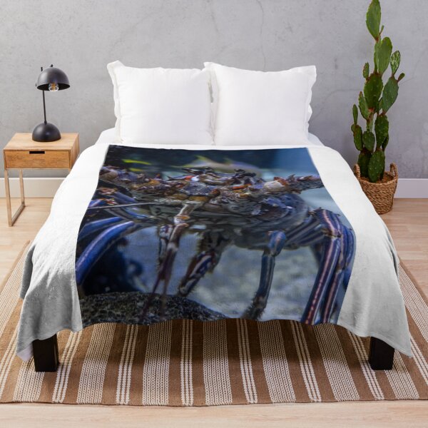 Item preview, Here's Looking at You designed and sold by John  Kapusta.