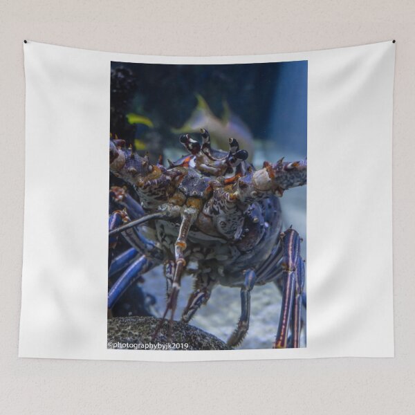 Item preview, Here's Looking at You designed and sold by John  Kapusta.