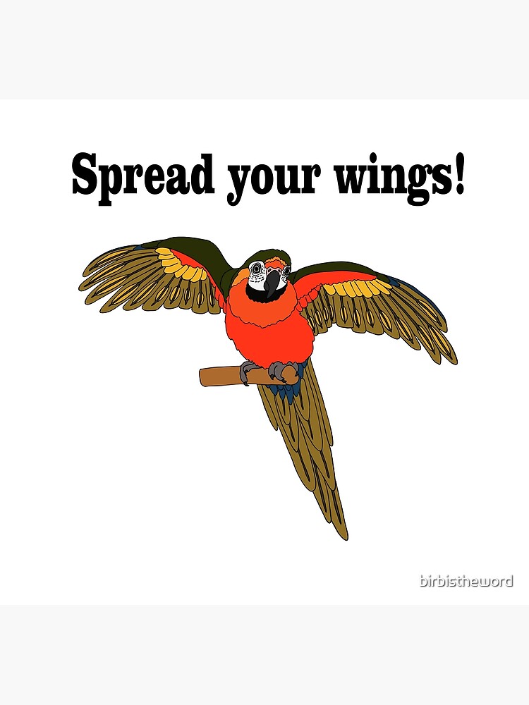 "Spread your wings!" Poster by birbistheword Redbubble