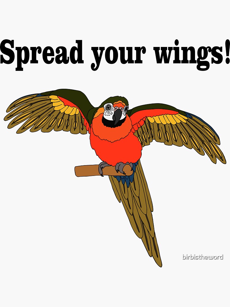 "Spread your wings!" Sticker by birbistheword Redbubble