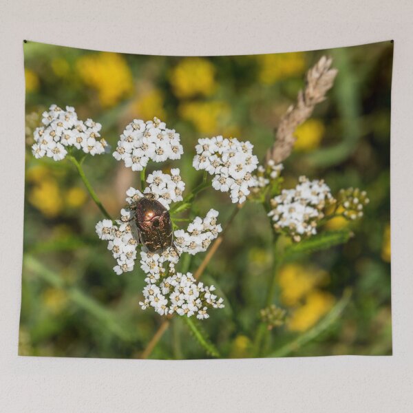 Item preview, Metallic Beetle on White Flowers Closeup designed and sold by Jon Shore.
