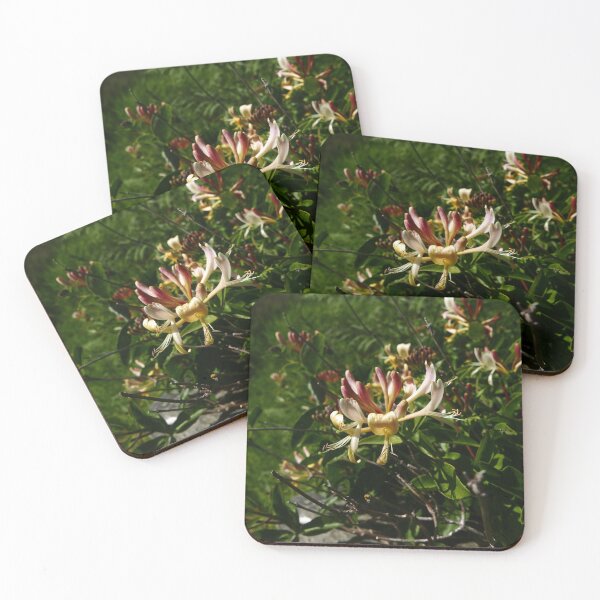Item preview, Honeysuckle (Lonicera) designed and sold by IOMWildFlowers.
