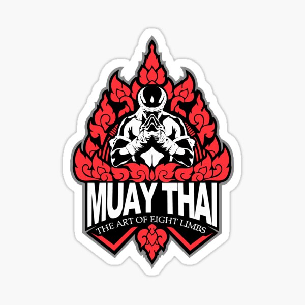 Muay Thai Kick Boxen Metall Medaillen 50mm Pack x10 Bänder Emblem oder Ihr Logo 