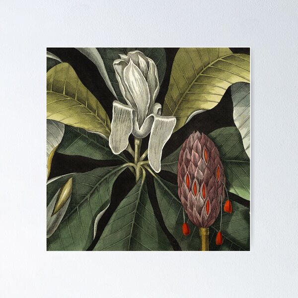 Item preview, Vintage Tropical Umbrella Tree designed and sold by DigitalEffects.