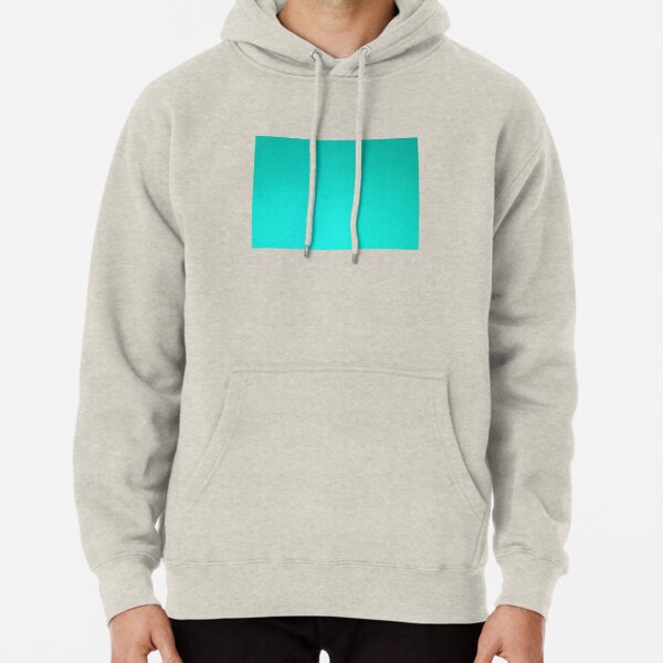 aqua color hoodie