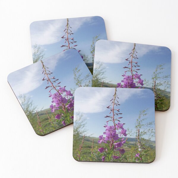 Item preview, Rosebay Willowherb (Chamerion angustifolium) designed and sold by IOMWildFlowers.