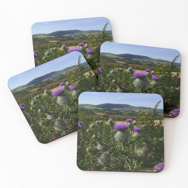 Item preview, Spear Thistle (Cirsium vulgare) designed and sold by IOMWildFlowers.
