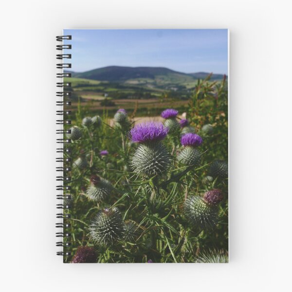 Item preview, Spear Thistle (Cirsium vulgare) designed and sold by IOMWildFlowers.