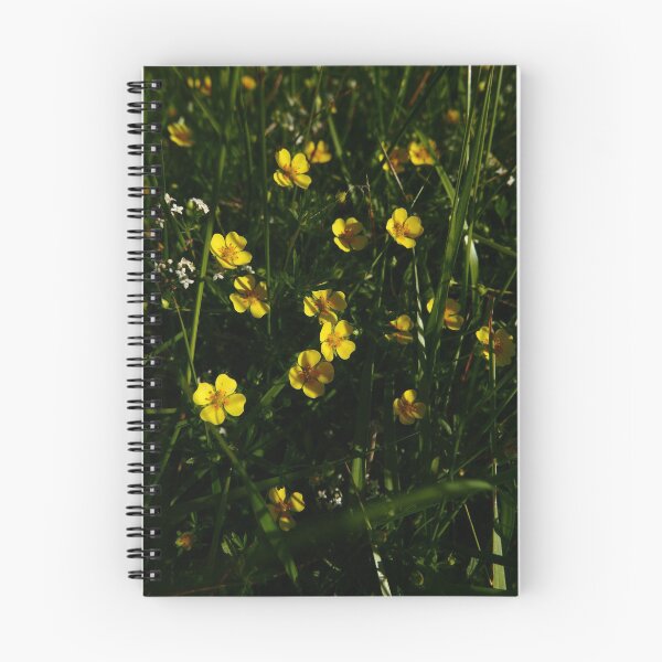 Item preview, Common Tormentil (Potentilla erecta) designed and sold by IOMWildFlowers.
