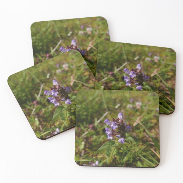 Item preview, Self-heal (Prunella vulgaris) designed and sold by IOMWildFlowers.