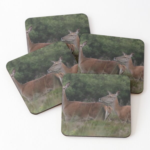 Item preview, pair of deers designed and sold by tammy mellor.