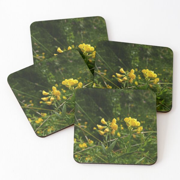 Item preview, Meadow Vetchling (Lathyrus pratensis) designed and sold by IOMWildFlowers.