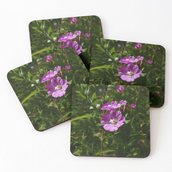 Item preview, Great Willowherb (Epilobium hirsutum) designed and sold by IOMWildFlowers.