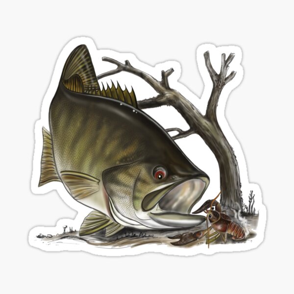 Smallmouth Bass - Digital drawing by (ANTARTOUTDOORS) Sticker
