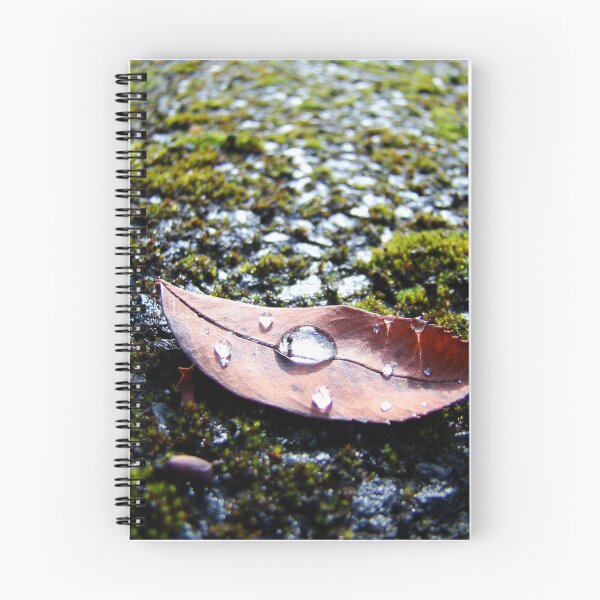 Item preview, After the rain designed and sold by Kamila  Jerichow.