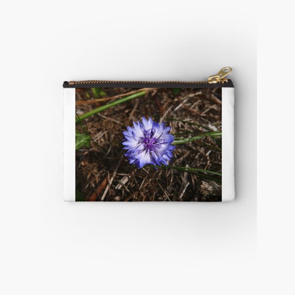 Item preview, Cornflower (Centaurea cyanus) designed and sold by IOMWildFlowers.