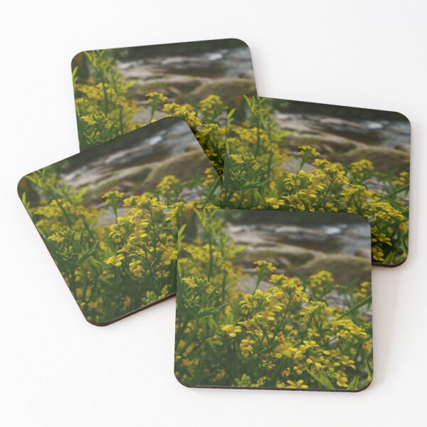 Item preview, Creeping Yellow-Cress (Rorippa sylvestris) designed and sold by IOMWildFlowers.