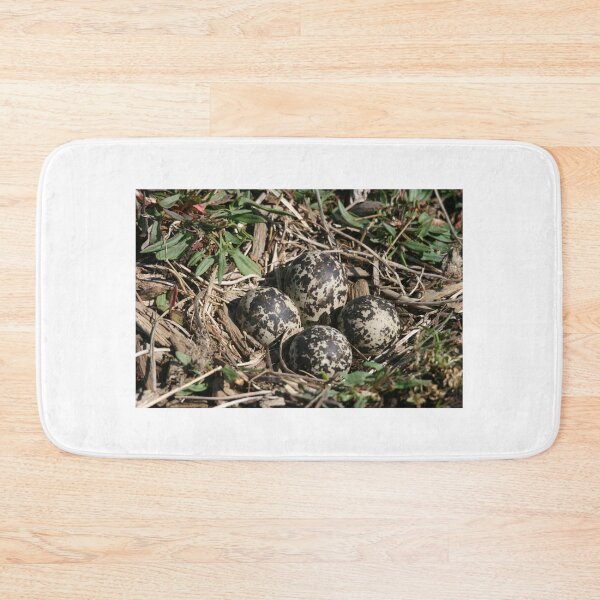 Item preview, Killdeer Nest.... designed and sold by RichImage.