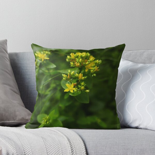 Item preview, Square-Stalked St. John's Wort (Hypericum tetrapterum) designed and sold by IOMWildFlowers.