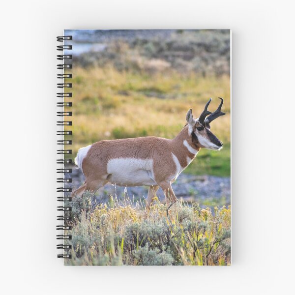 Item preview, Pronghorn designed and sold by Jabbledab.