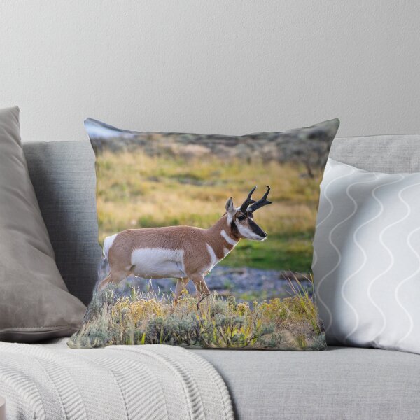 Item preview, Pronghorn designed and sold by Jabbledab.