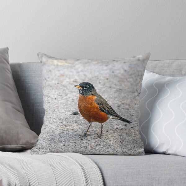 Item preview, Robin el centro de atención designed and sold by Jabbledab.