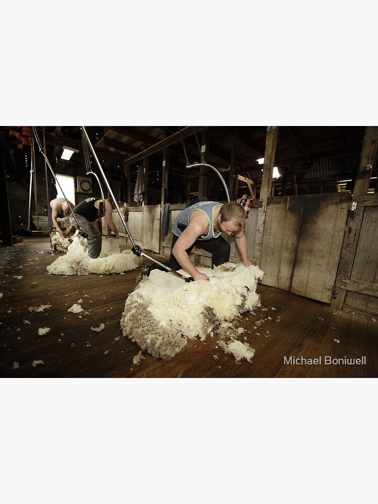 Thumbnail 7 of 7, Framed Art Print, Shearing, Tooborac, Victoria, Australia designed and sold by Michael Boniwell.