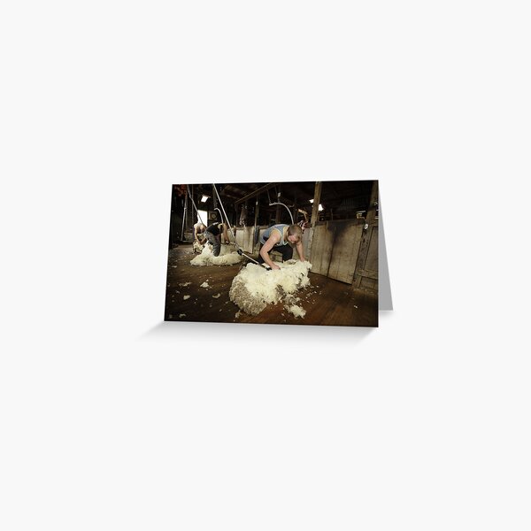 Shearing, Tooborac, Victoria, Australia Greeting Card