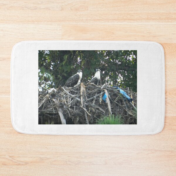 Item preview, Not quite ready to fly designed and sold by WonderlandGlass.