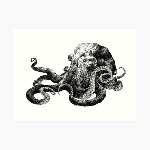 Octopus in black and white Art Print