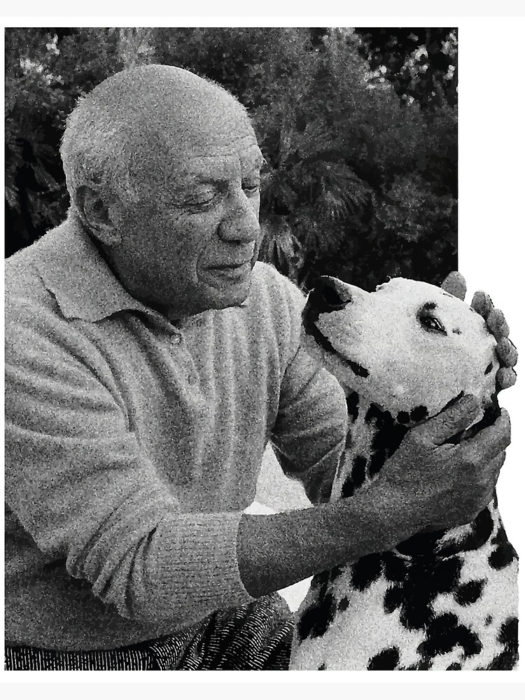 picasso dalmatian