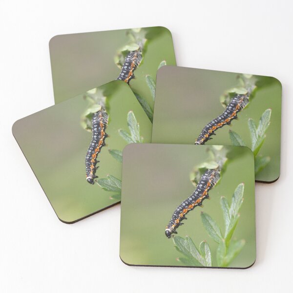 Item preview, Sawfly caterpillar II designed and sold by GreyFeatherPhot.