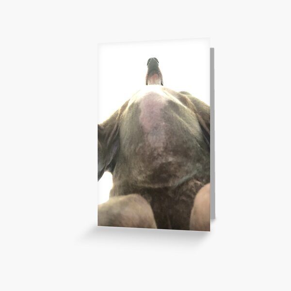 Worst Picture of Kermit  Greeting Card