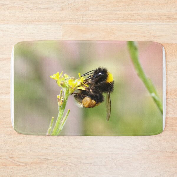 Item preview, Bee with bulging pollen baskets designed and sold by GreyFeatherPhot.