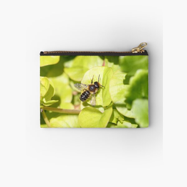 Item preview, Leaf cutter bee designed and sold by GreyFeatherPhot.