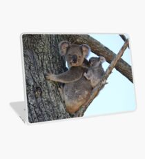 Baby Koala Bear Laptop Skin