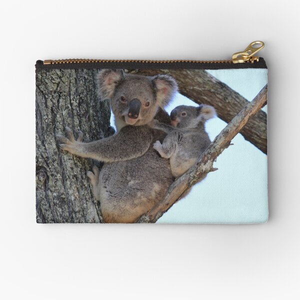 Baby Koala Bear Zipper Pouch