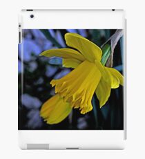 Daffodils iPad Case/Skin