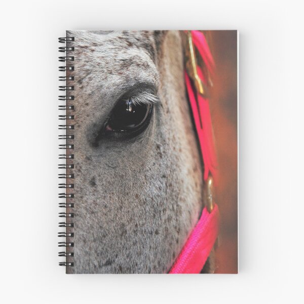 Item preview, Wisdome of a horse designed and sold by Ratsrule67.
