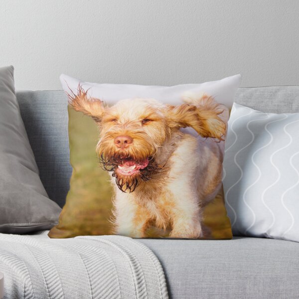 Laughing with flying ears Spinone Throw Pillow