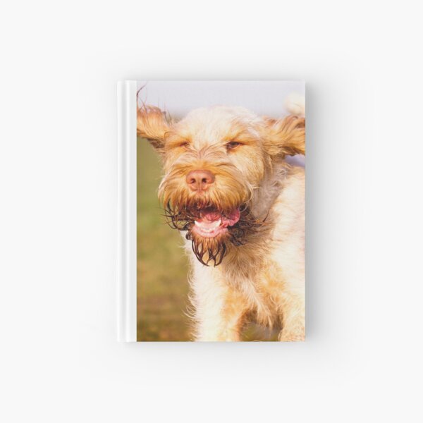 Laughing with flying ears Spinone Hardcover Journal