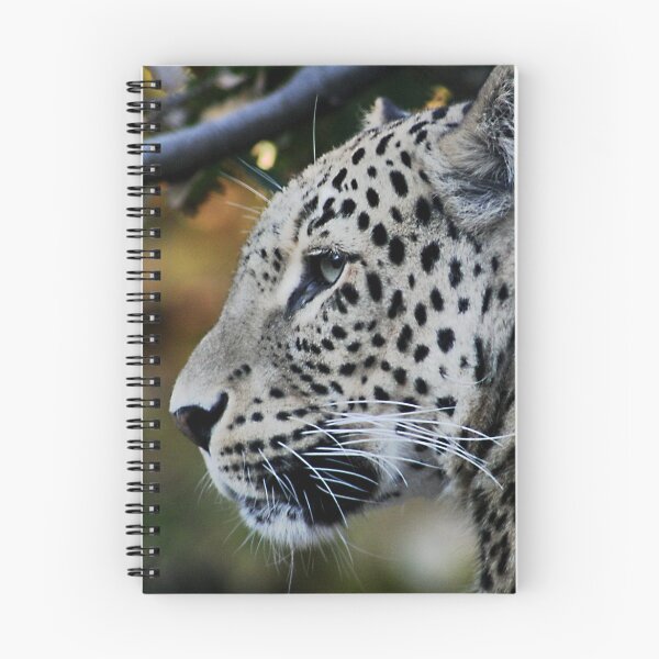 Artikelvorschau, Leopard entworfen und verkauft von Joy Watson - Natural Light Photography .