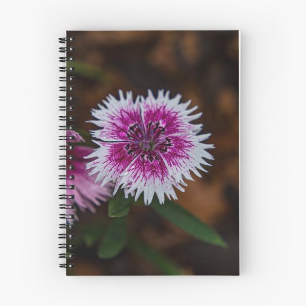 Item preview, White & Pink Flower designed and sold by JoelBrown.